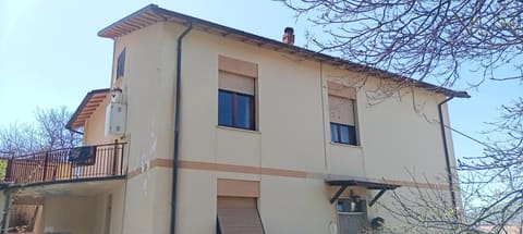 Photo of the lot 2