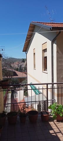 Photo of the lot 8