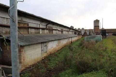 Photo: Altra categoria in Meldola (FC)