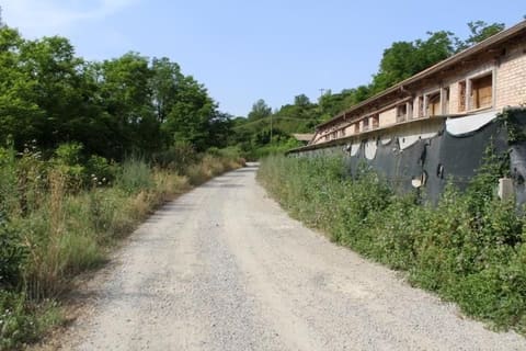 Photo: Altra categoria in Civitella di Romagna (FC)
