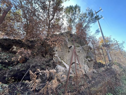Photo: Altra categoria in Pedara (CT)