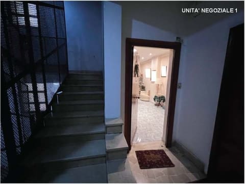 Photo of the lot 3