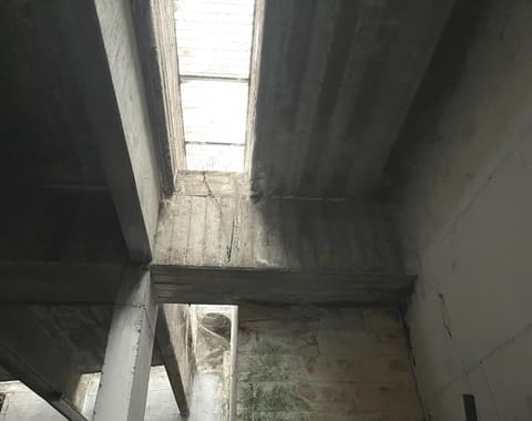 Photo of the lot 8