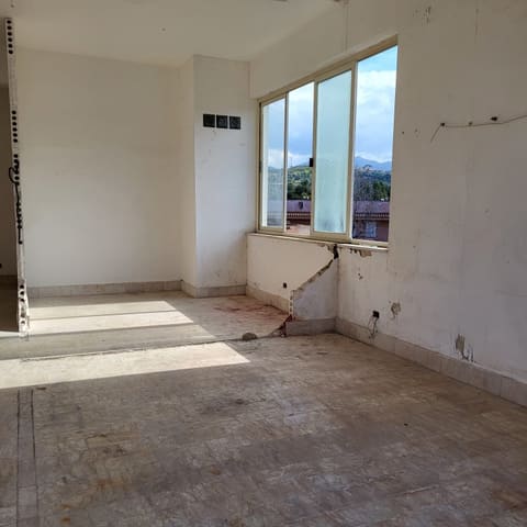 Photo of the lot 3