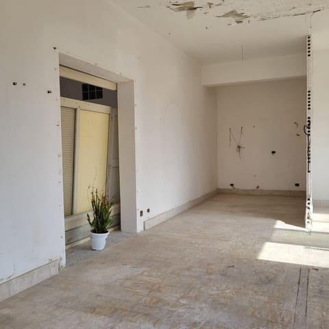 Photo of the lot 4