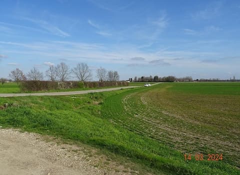 Foto: Altra categoria a Vigevano (PV)