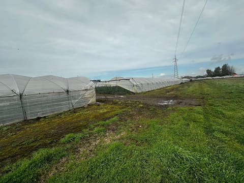 Photo: Altra categoria in San Cipriano d'Aversa (CE)