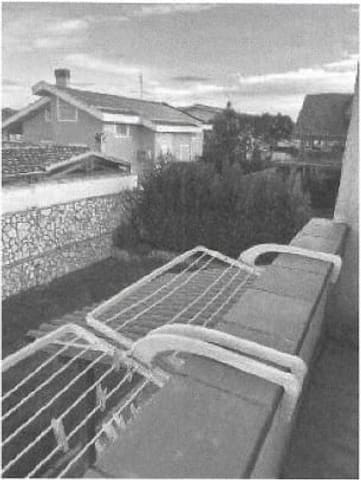 Photo of the lot 3