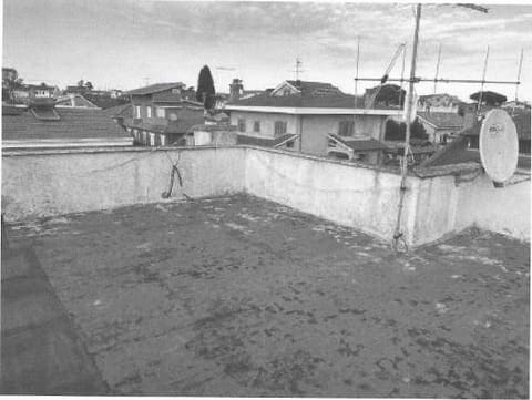Photo of the lot 5