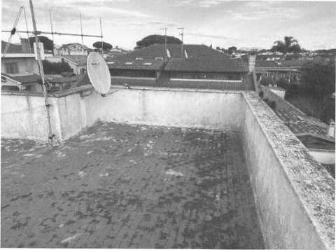 Photo of the lot 6