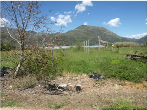 Photo: Altra categoria in Fondi (LT)