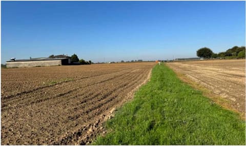 Photo: Altra categoria in Roverchiara (VR)