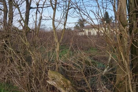 Photo: Land in Gazzuolo (MN)