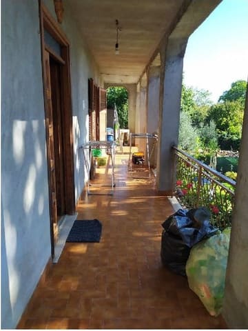 Photo of the lot 3