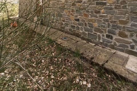 Photo of the lot 3