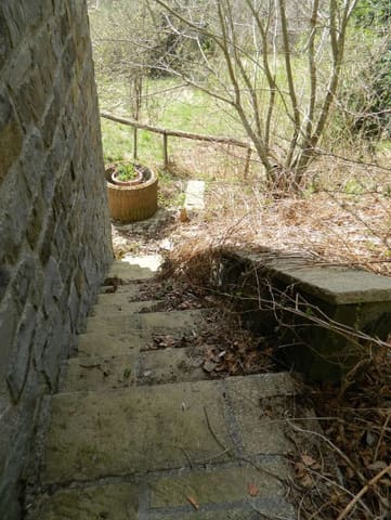Photo of the lot 5