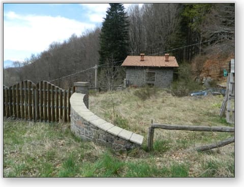 Photo of the lot 6