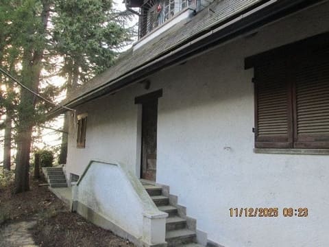 Photo of the lot 2