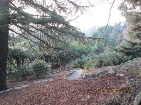 Photo of the lot 5