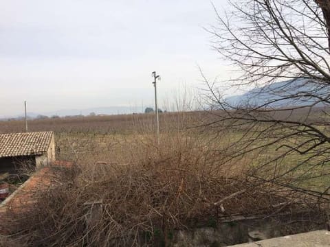 Photo: Altra categoria in Teano (CE)