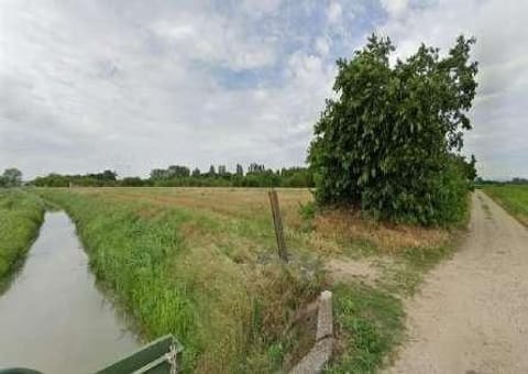 Photo: Altra categoria in Legnago (VR)