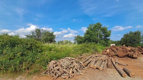 Photo: Land in Feroleto della Chiesa (RC)