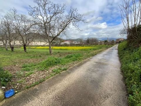 Photo: Altra categoria in Castel San Giorgio (SA)