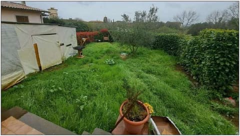 Photo: Immobile residenziale in Barbarano Romano (VT)