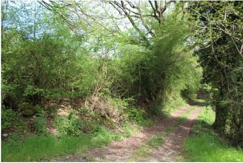 Photo: Land in Greccio (RI)