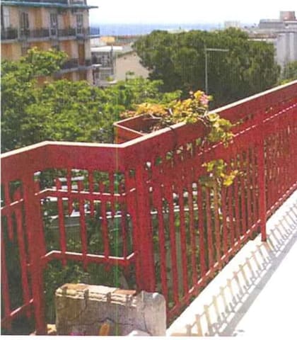 Photo of the lot 2