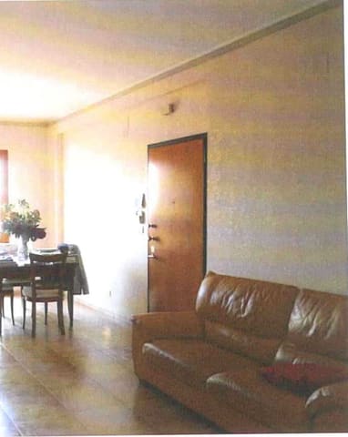 Photo of the lot 8
