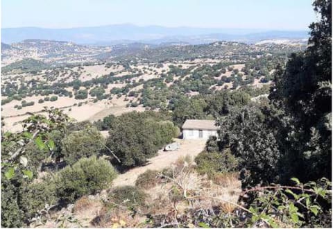 Photo: Altra categoria in Olzai (NU)