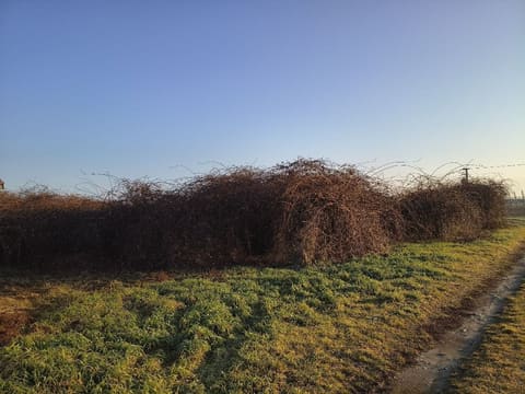 Photo: Land in Lagnasco (CN)