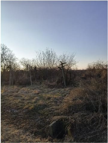 Photo: Land in Lagnasco (CN)