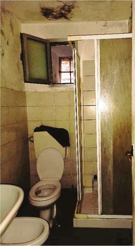 Foto del lotto 2