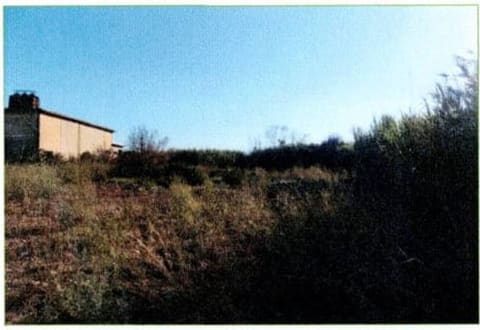 Photo: Altra categoria in Elmas (CA)