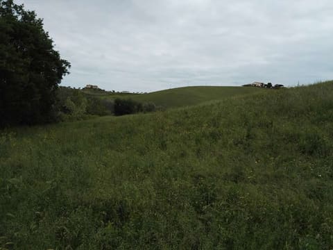 Photo: Altra categoria in Morro d'Oro (TE)