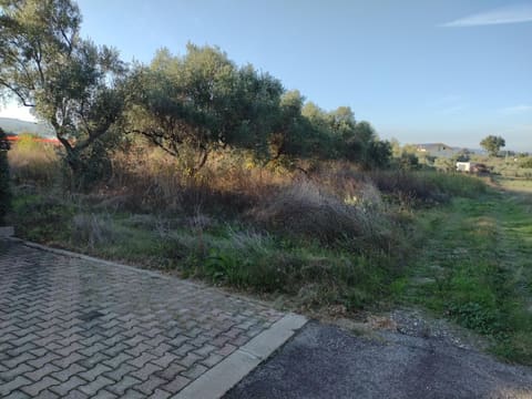 Photo: Altra categoria in Vasto (CH)