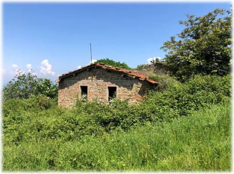 Photo: Altra categoria in Dicomano (FI)
