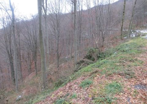 Photo: Altra categoria in Costa Valle Imagna (BG)