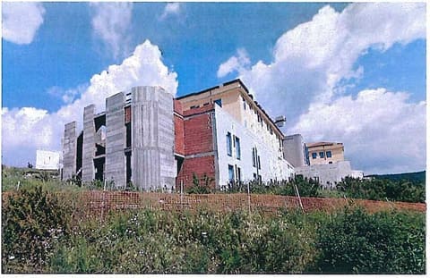 Foto del lotto 1
