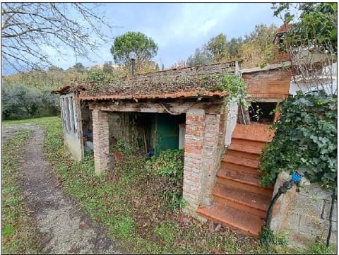 Photo: Altra categoria in Pontedera (PI)