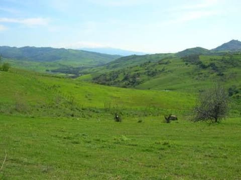 Photo: Altra categoria in Nissoria (EN)