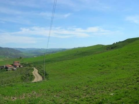 Photo: Altra categoria in Nissoria (EN)