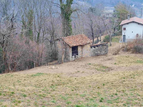 Photo: Altra categoria in Blello (BG)