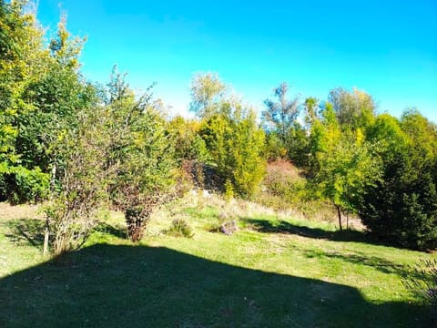 Photo: Altra categoria in Marano sul Panaro (MO)