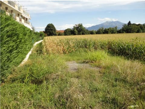 Photo: Altra categoria in Cuneo (CN)