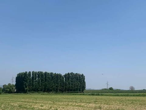 Photo: Altra categoria in Zevio (VR)