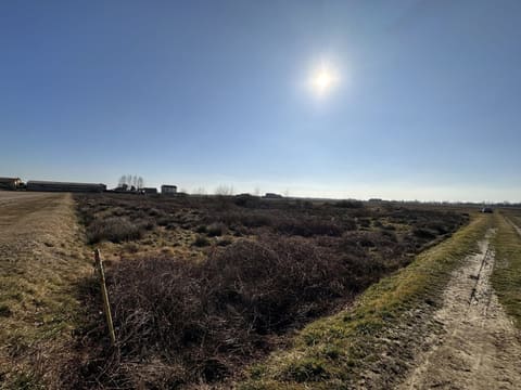 Photo: Altra categoria in Gattinara (VC)