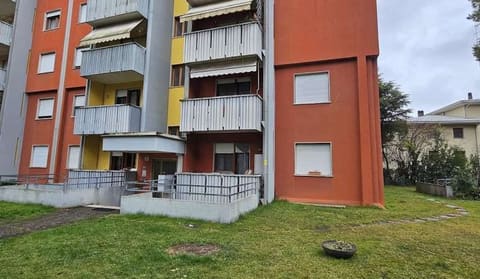 Photo of the lot 2